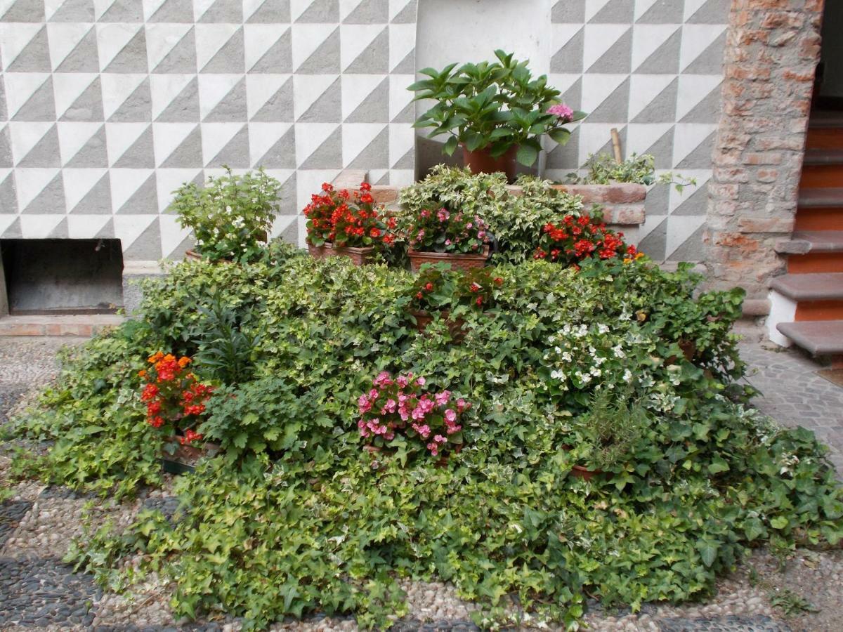 “La Loggia” Apartment Casale Monferrato Eksteriør bilde