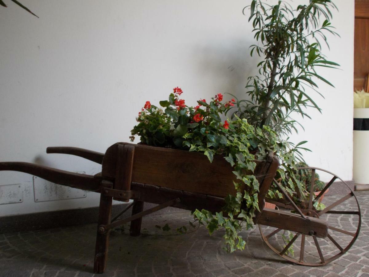 “La Loggia” Apartment Casale Monferrato Eksteriør bilde